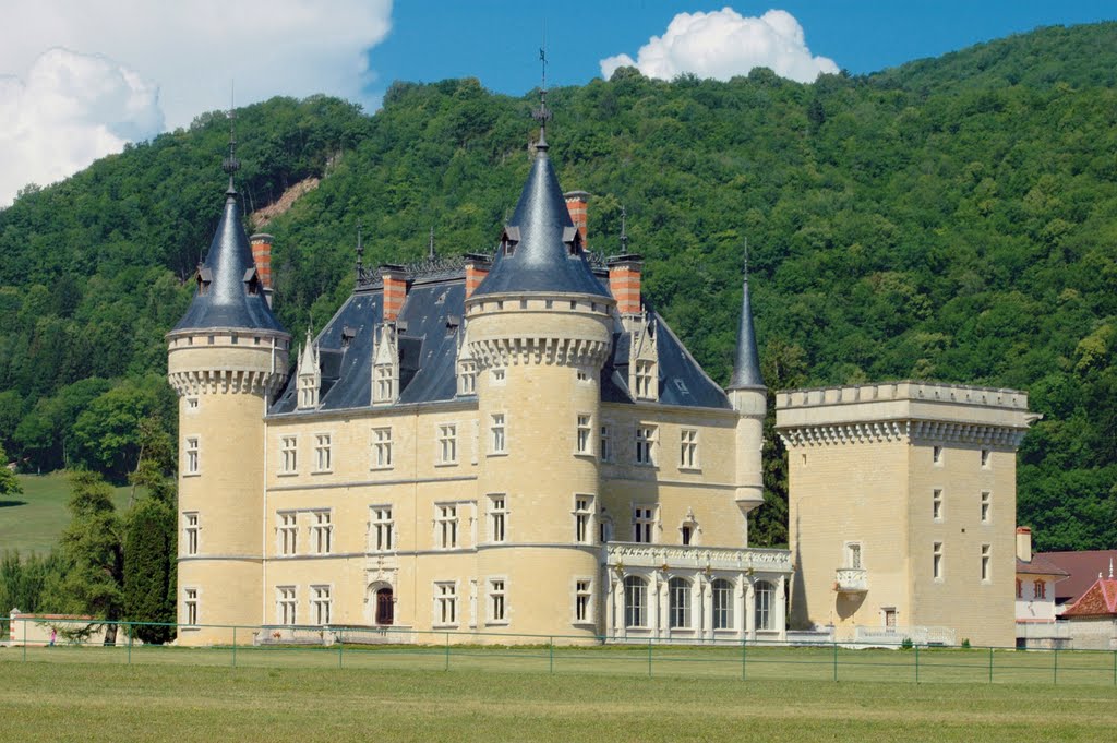 Château de Cornod by Francois Bonneville