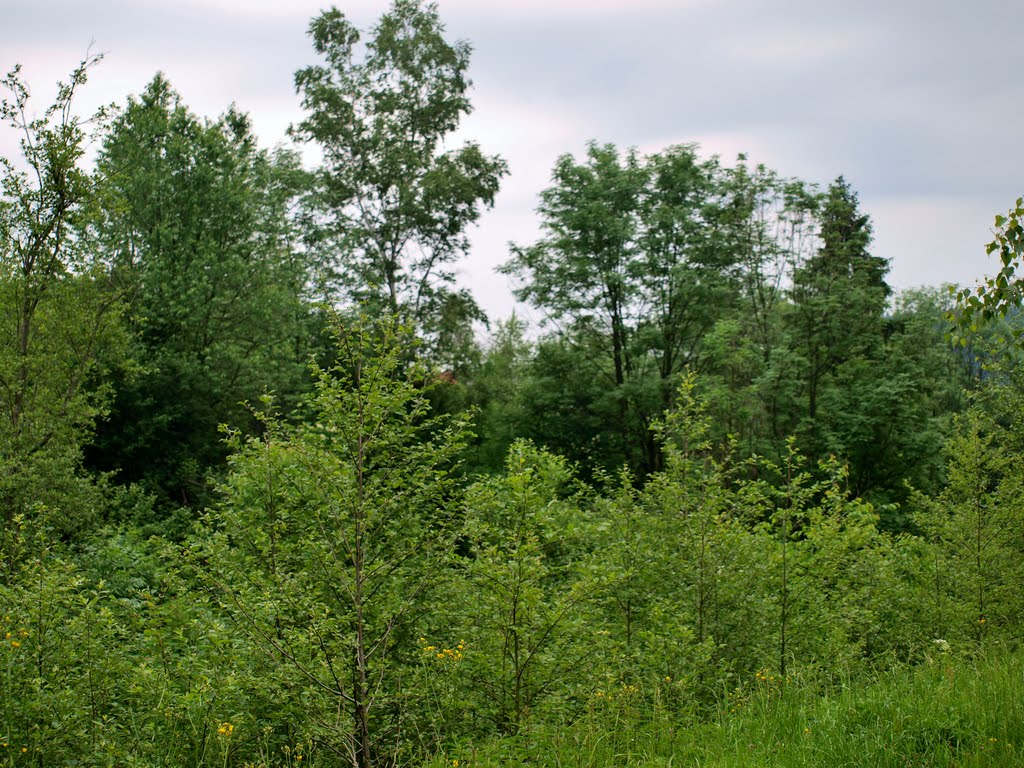 Stryszawa - near the primary school No. 3 and the Youth Hostel YHA by wuhazet