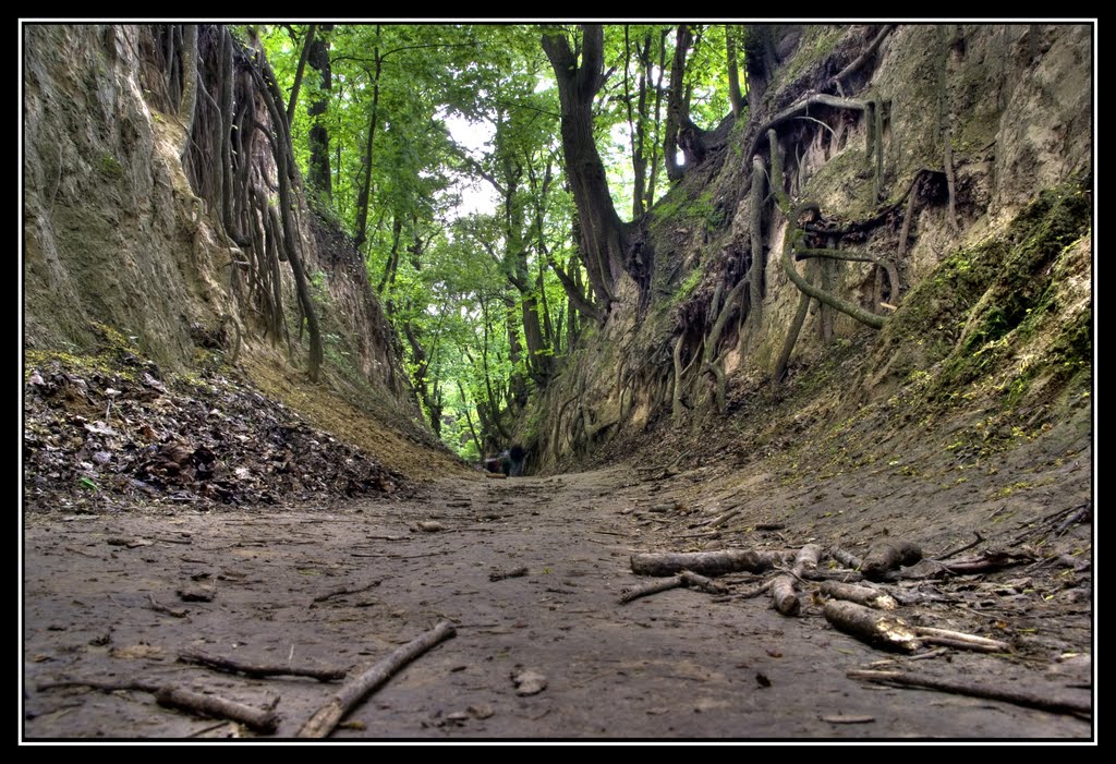 Sandomierz - Queen Jadwiga's Gorge by semipermanent