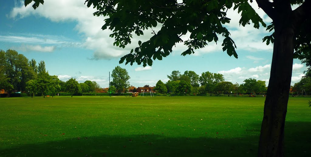 Billingham Park by Dee Wainwright