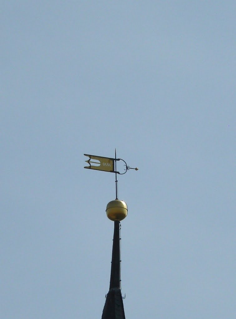 Altenburg - Zoom zur Wetterfahne des Wahrzeichens der Stadt - den Roten Spitzen by Thomas Eichler