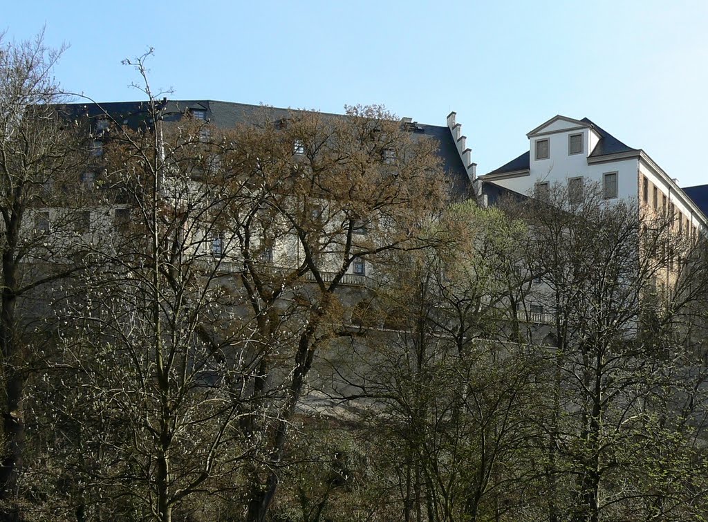 Altenburg - Blick über den Pauritzer Teich auf die Junkerei des Schlosses vom Norden by Thomas Eichler