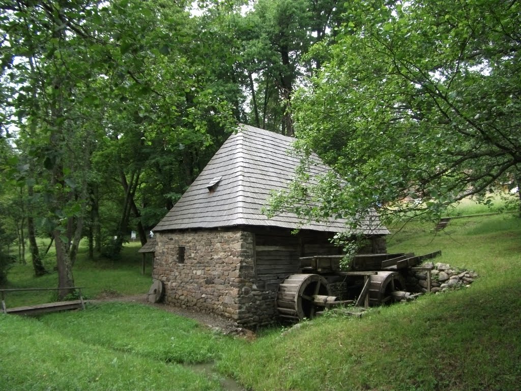 Muzeul Civilizaţiei Populare Traditionale ASTRA *** Moară cu "DUBE" ( Piuă hidraulică) - Fânate, jud. Bihor / Water-mill with fulling-mill called "Dube" - Fânate, Bihor county. by Fanea  Cristian