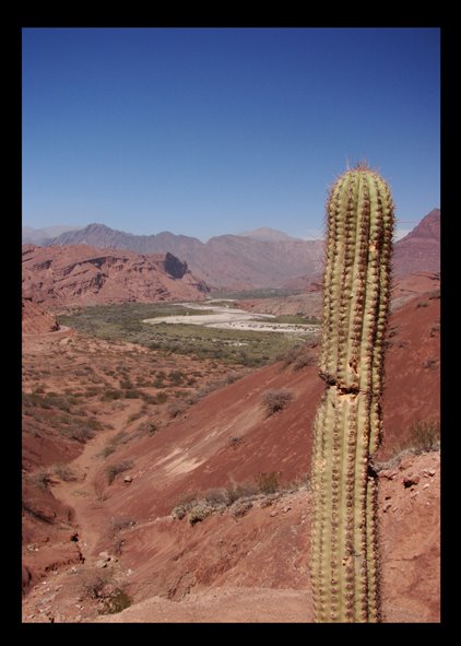 Quebrada de Cafayate by matias Fogliacco