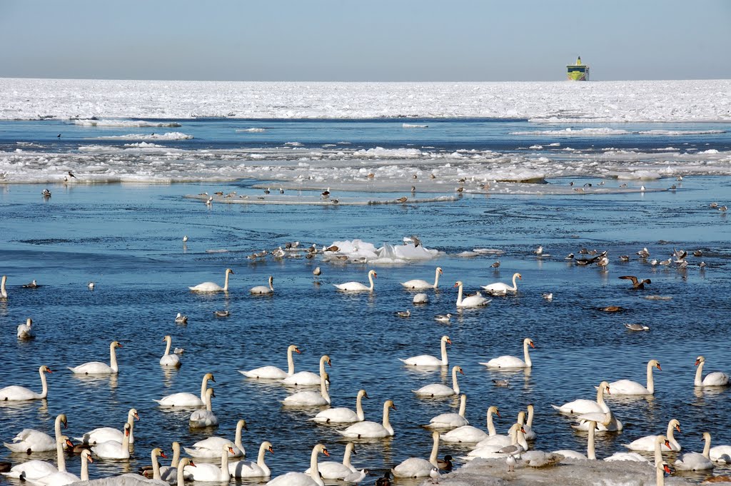 Gulf of Finland_Mar-16-2011 by *Gabriel