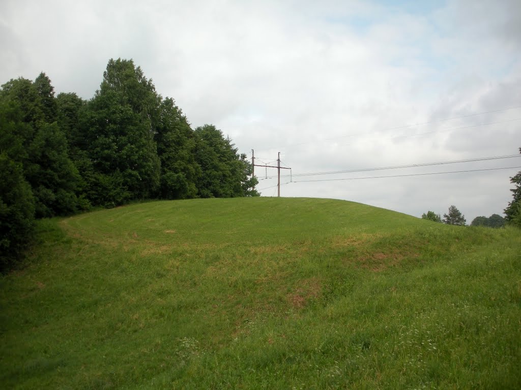 Prienlaukio piliakalnis (Prienlaukys mound) by MrEko