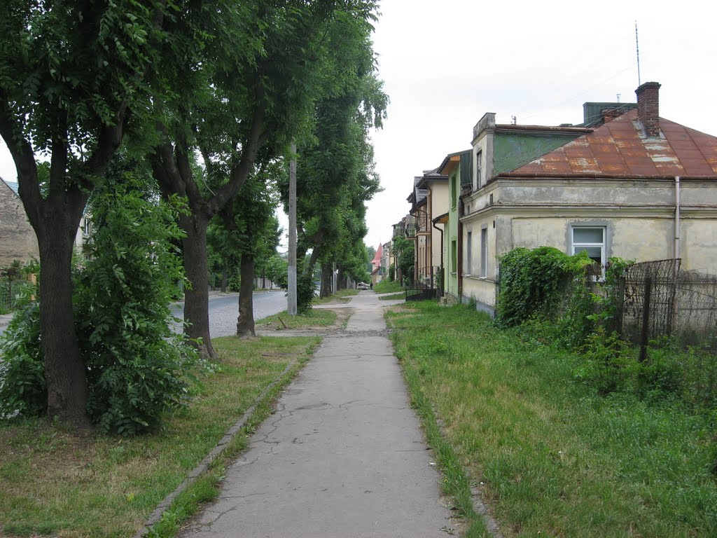 Личаківська / Lychakivska str. by Anhorda