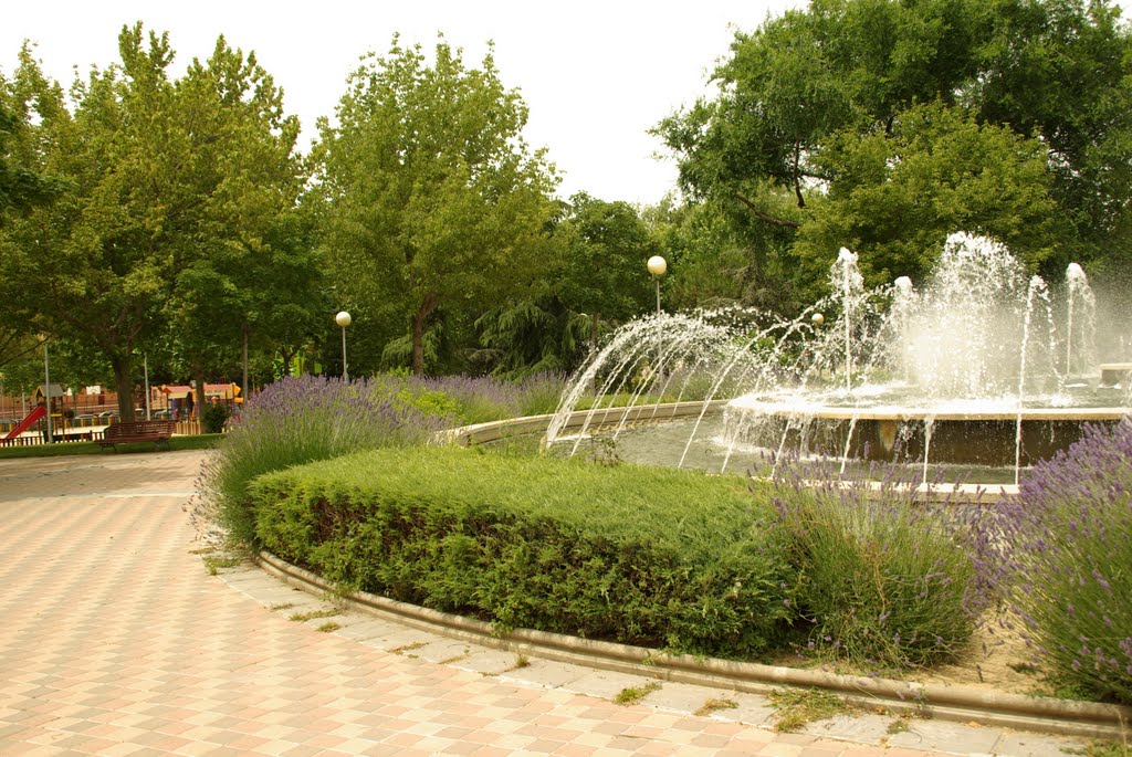 ® ALCORCON F.U.S. PARQUE DE BUERO VALLEJO by RICHTEA