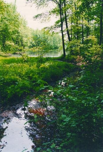 Lums Pond in May by flash19901