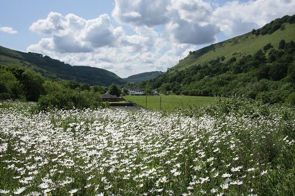 Cwm from Festival Park by Jane Corey