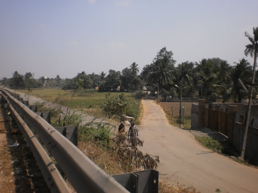 P2050049 Road to Kanniyamman Koil, ganapathy Nagar, Alappaakkam by dhanasekarangm