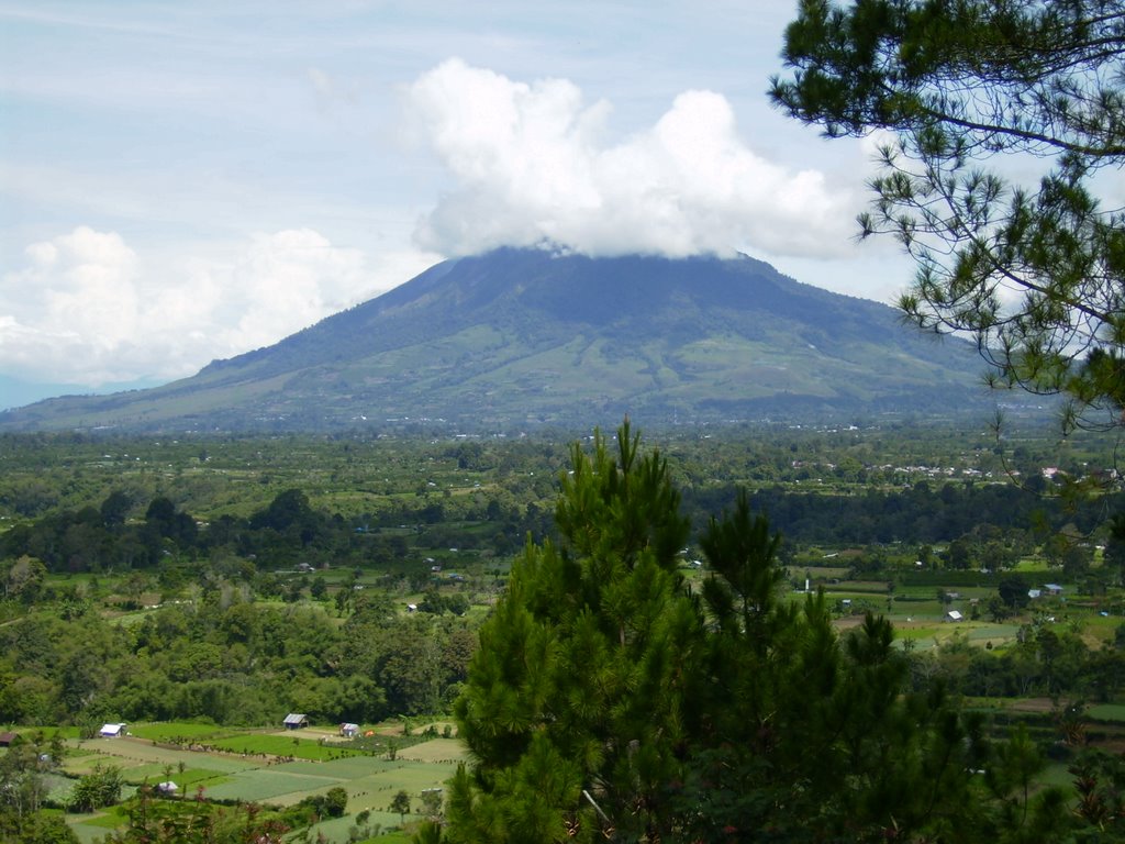 GUNUNG by Linfianto Lin