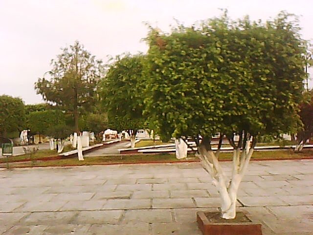 En la plaza by elmemostero