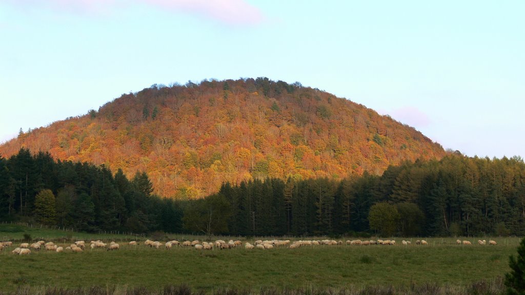 Paysage d'auvergne by Dub