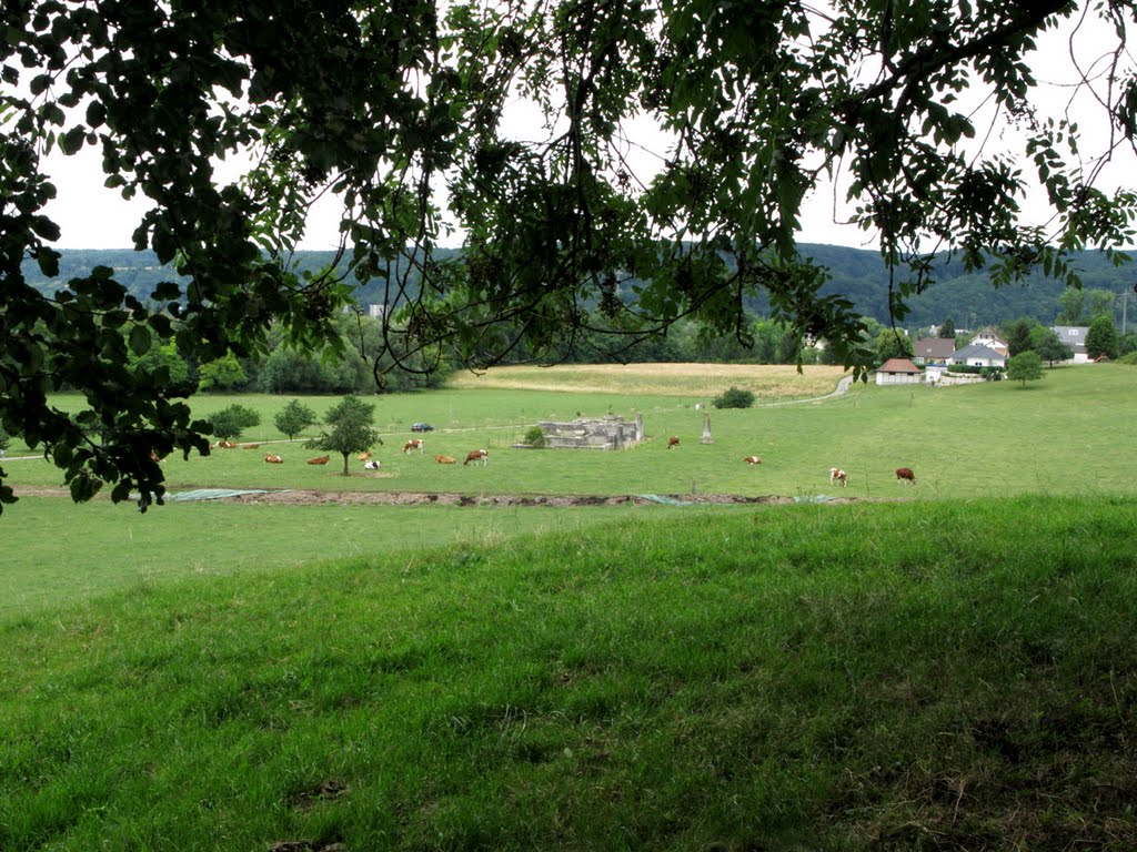 Grienmatt Temple through the trees. Augusta Raurica, Switzerland by Tom Waugh