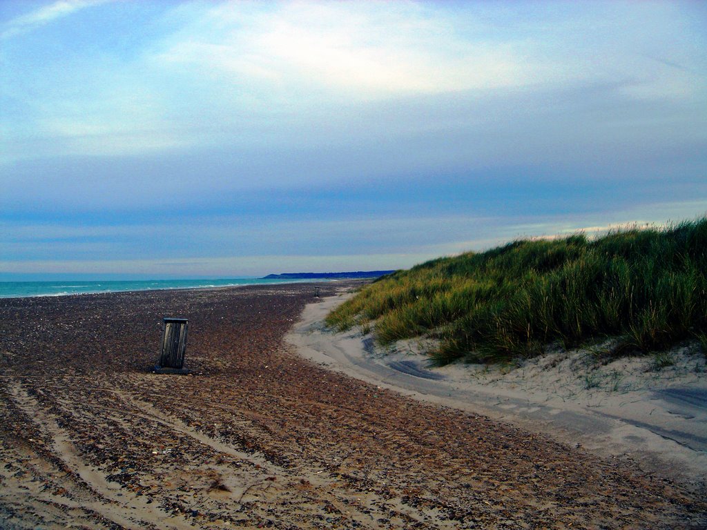 Klim strand by Povl Hilligso