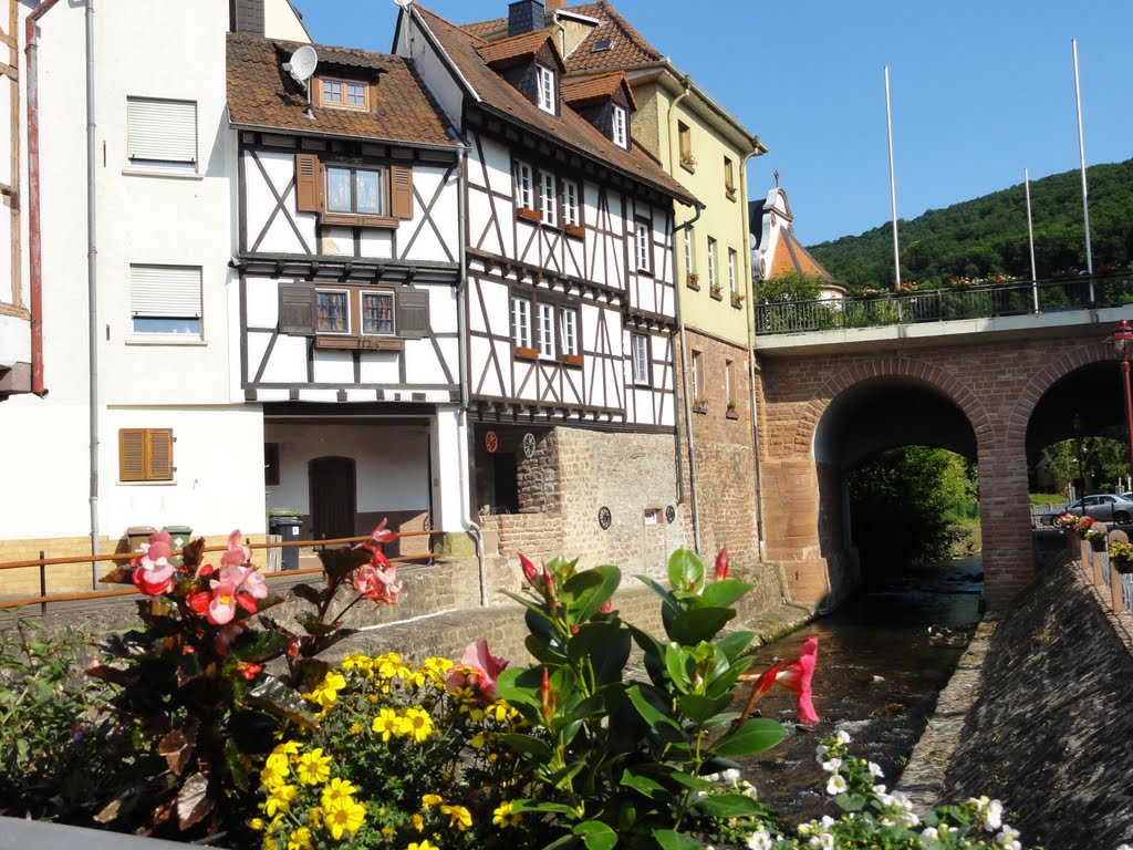 An der Steinach in Neckarsteinach by Reiner Schneickert