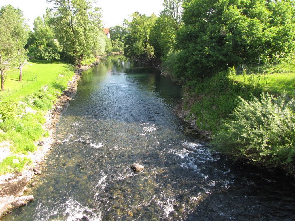 River Ljubljanica by peter_fg