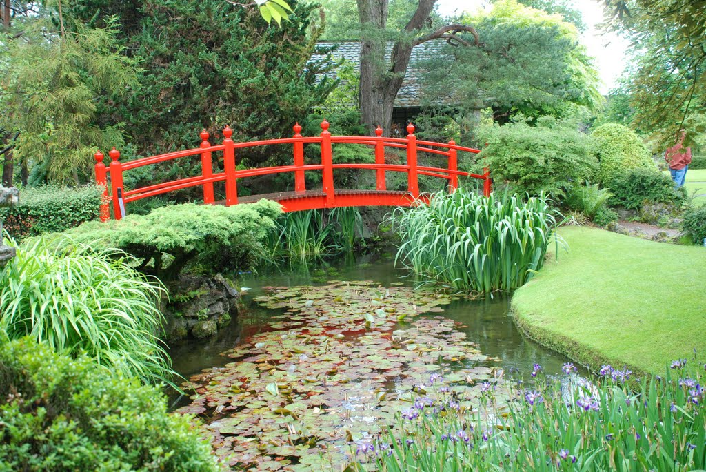 Japanese Gardens, Kildare by bobpercy