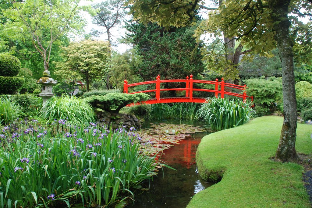 Japanese Gardens, Kildare by bobpercy