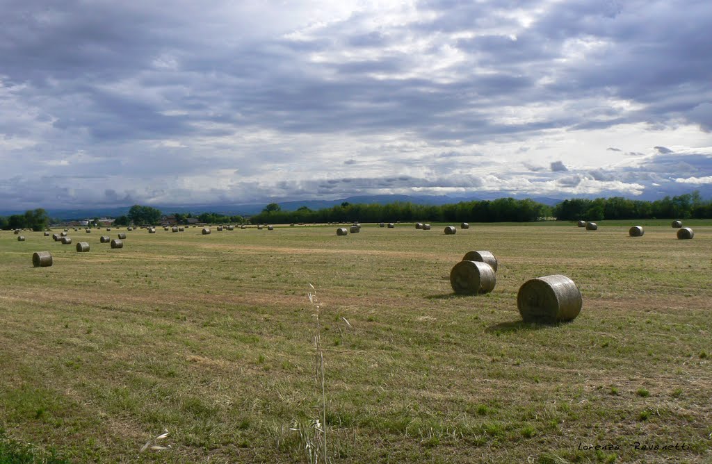 Campagna emiliana by Lorenza Ravanetti