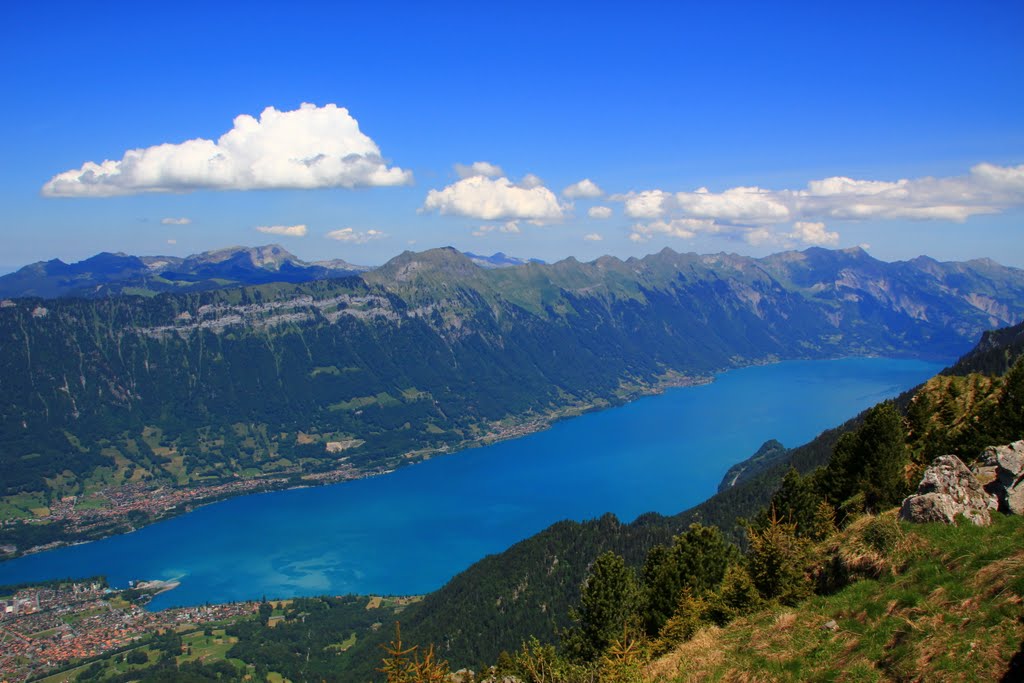 Blick von der Daube, Schynige Platte, auf den Brienzersee (© Fred53) by Fred53