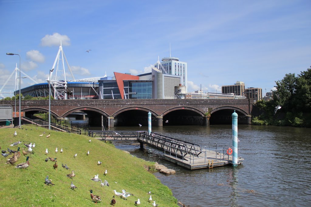 Millenium stadium by fillup