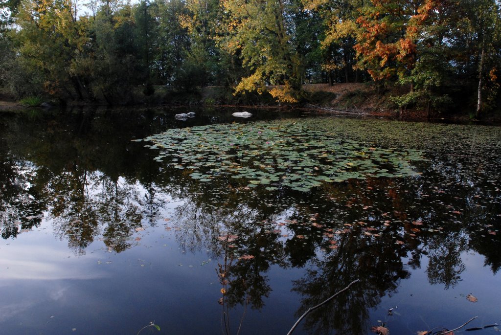 Parco naturale al mott by renzodonadini