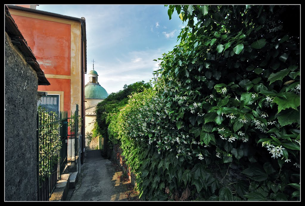 San Rocco di Camogli...per i miei amici. by Antonio Andreatta