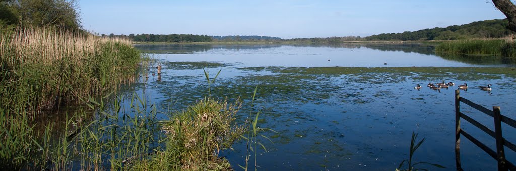 Aqualate Mere - view from hide by Trevor Thornton