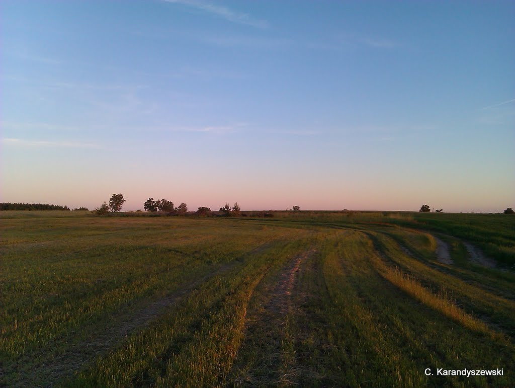 Okolice lotniska Świdwin by Karandyszewski