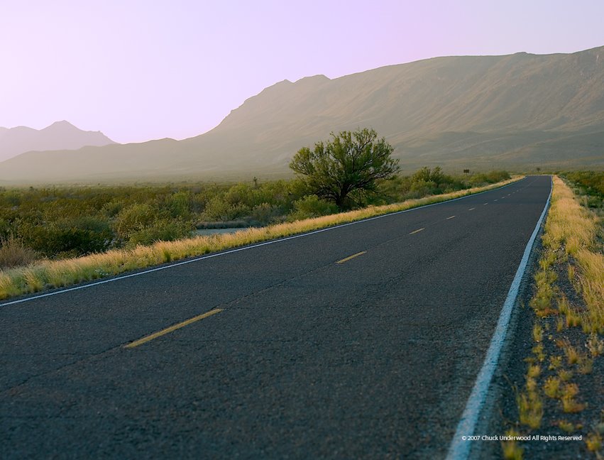 "Park Road with Tree " Big Bend National Park by cfu123