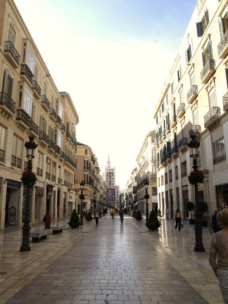 Calle Marquez de Larios en la mañana by ramtto