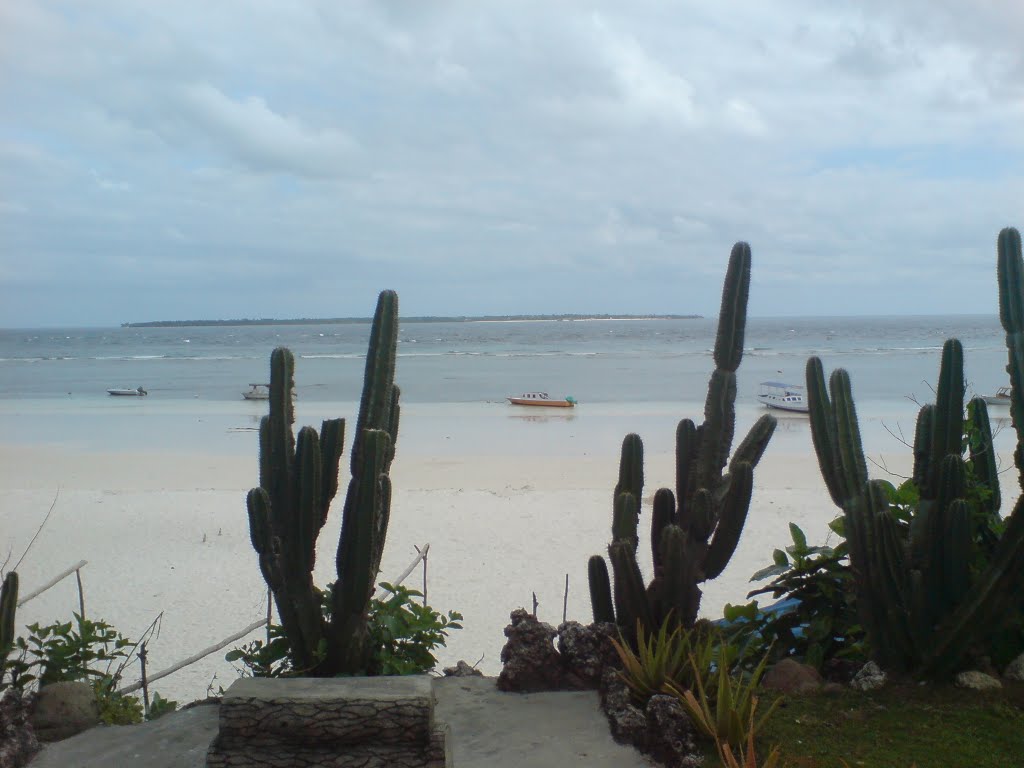 Tanjung Bira, South Sulawesi by qzxvw