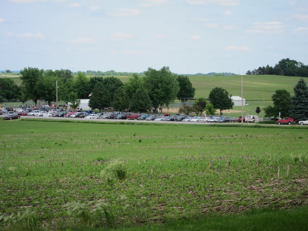 Strawberry Festival - Baseball Tournament by ParrotheadTim