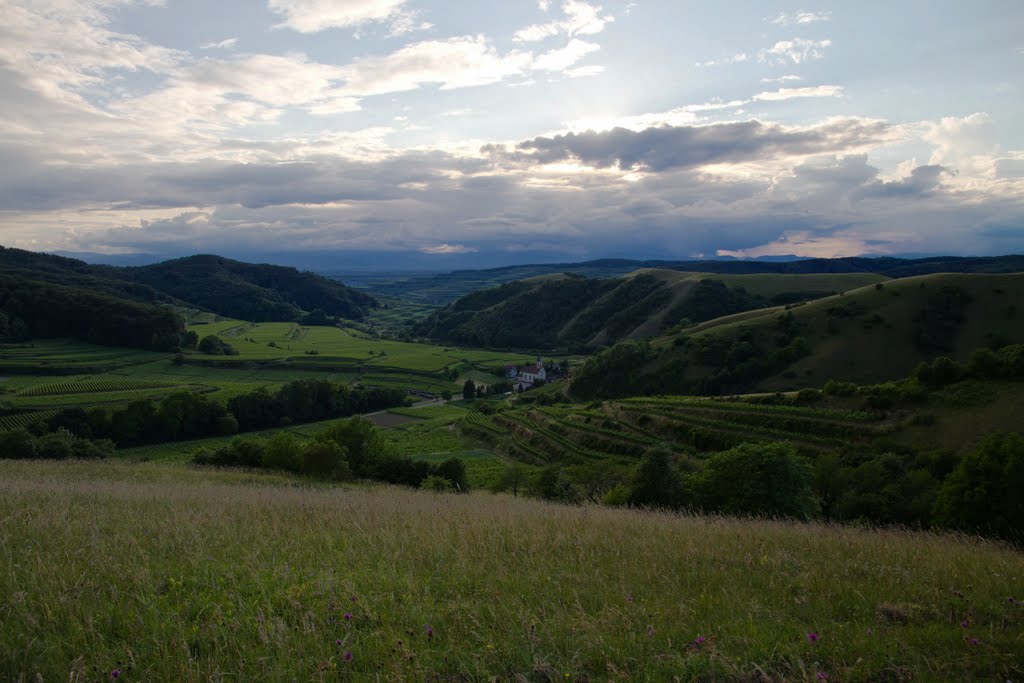 Altvogtsburg und Badberg by u.schmidlin