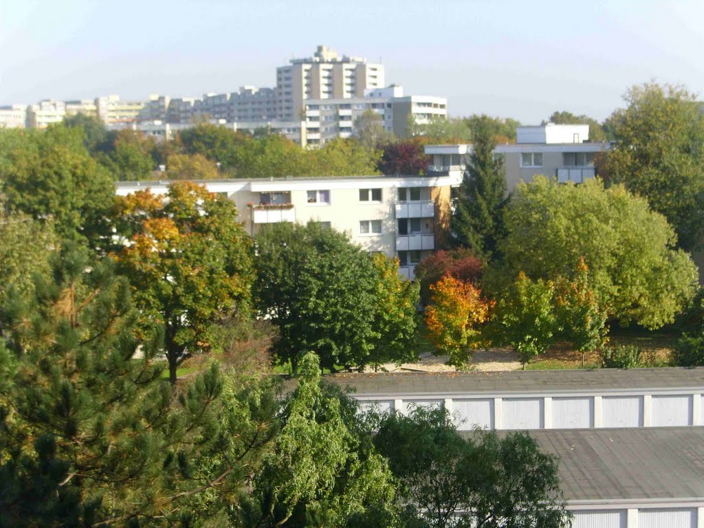 Mühlenberg im Sommer by Dampfi