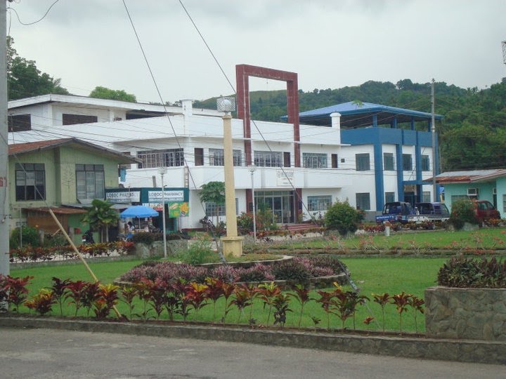 PMI - Loboc Academy and the PNP building in blue. by jedsum