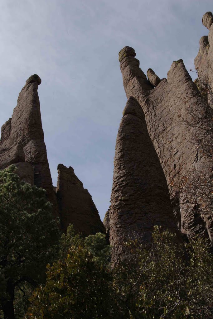 Hailstone Trail, Chiricahua National Monument, S of Bowie, AZ by Lon&Queta