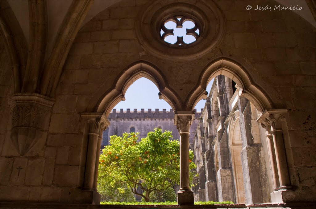 Monasterio de Alcobaça Ventanas del claustro by Jesús Municio