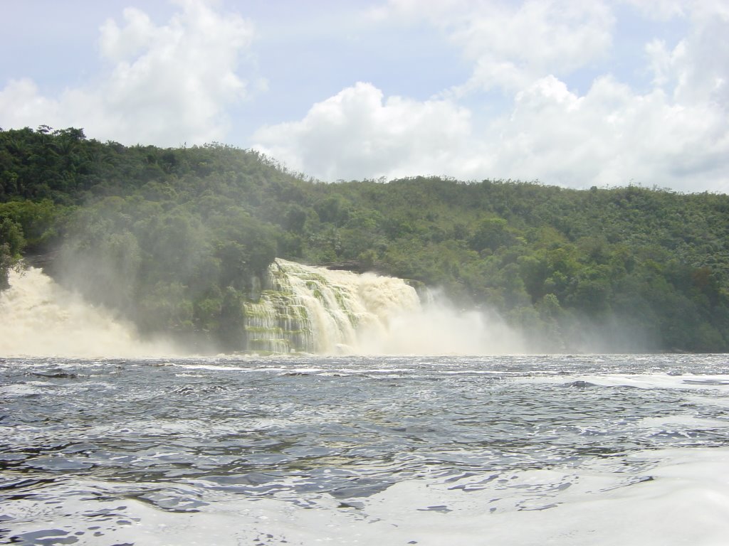 Cascadas en Laguna Canaima by gbuschner