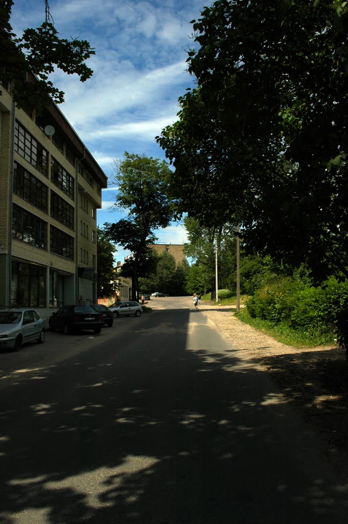 Panevezio Street by holmsius