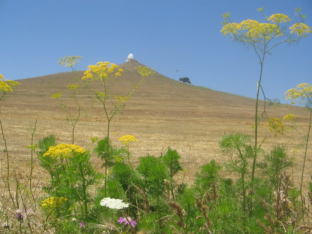 Mausolée dans la campagne - environs de Tiaret by bedjilali