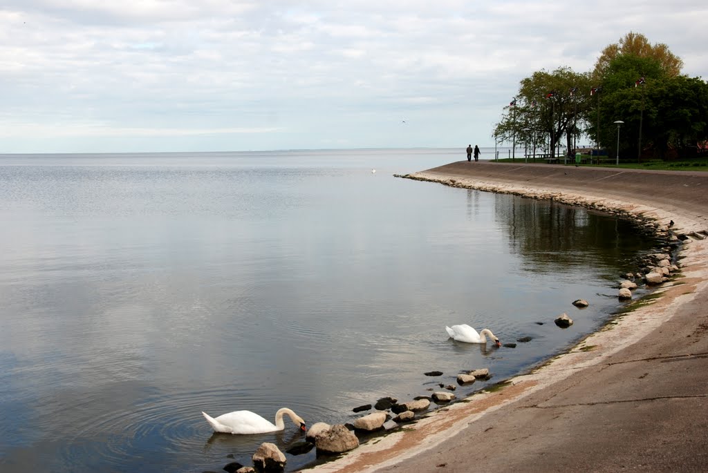 Kuršių Nerija - Nida, Rytų Prūsija / Kurische Nehrung - Ostpreußen by Renatorius (Reno)