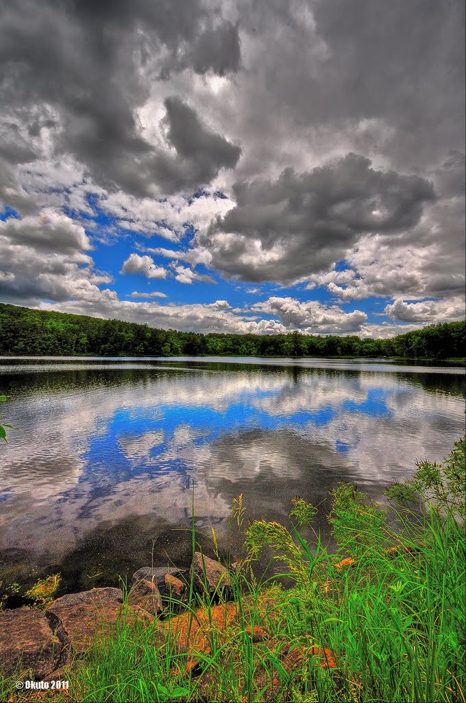 Cumulus formation by Okuto