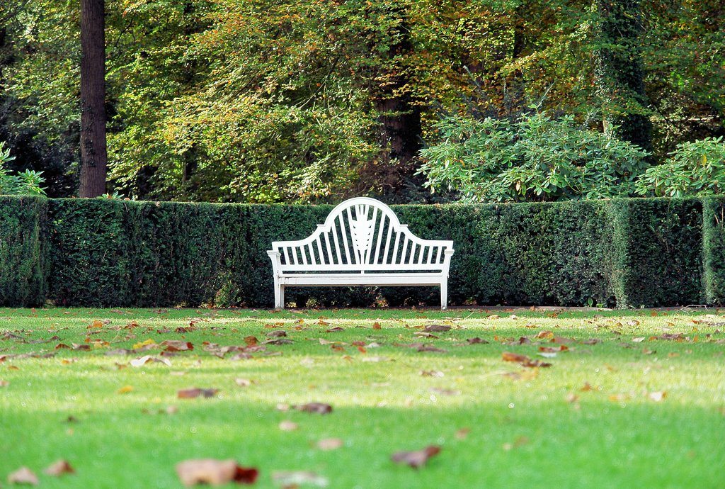 Bench by Fred van Daalen