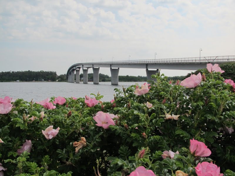 Möcklösundsbron by Karin Svensson