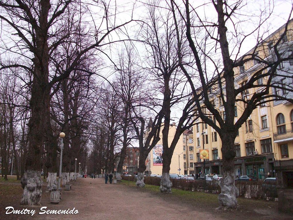 In the park / В парке by Dmitry Semenido