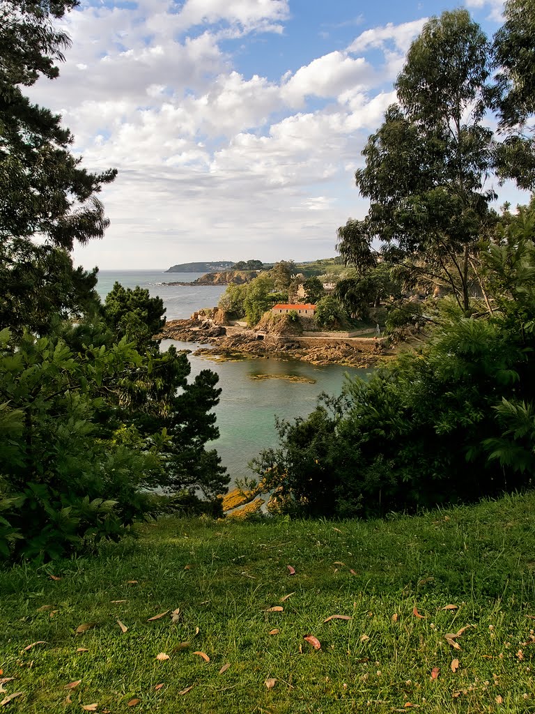 Castelo de Sta. Cruz dende As Galeras by molineli