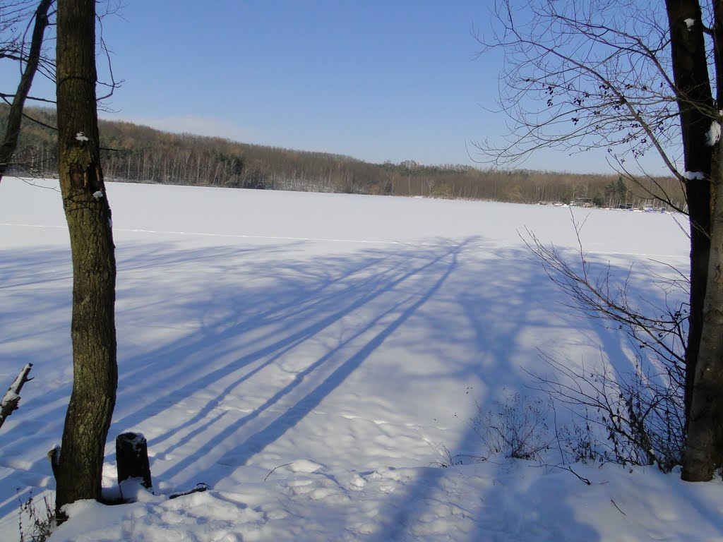 Heider Bergsee (16.2.2010) [Sony DSCHX 1] by Tegtmeier